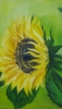 Sunflower in the wind