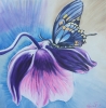 Blossom for Butterfly